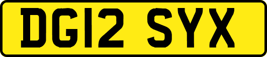 DG12SYX