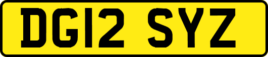 DG12SYZ