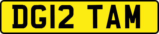 DG12TAM