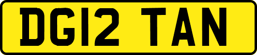 DG12TAN