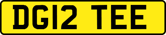 DG12TEE