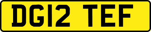 DG12TEF