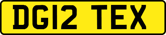 DG12TEX