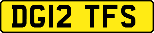 DG12TFS