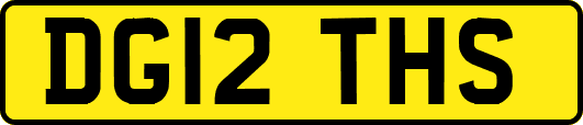 DG12THS