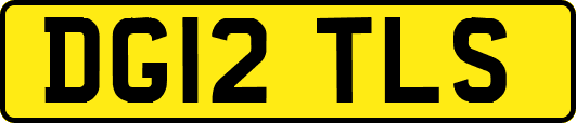 DG12TLS