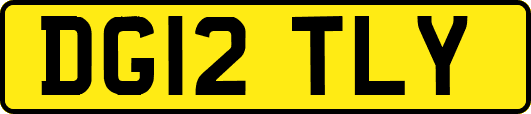 DG12TLY