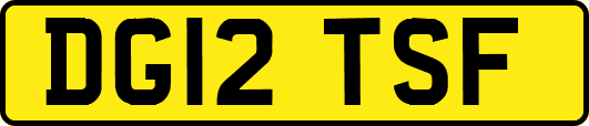 DG12TSF