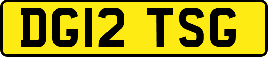 DG12TSG