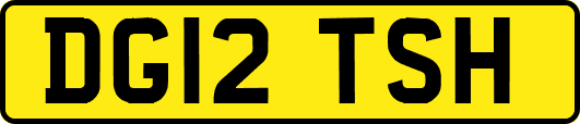 DG12TSH