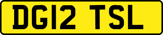 DG12TSL