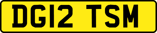 DG12TSM