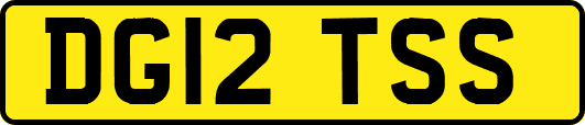 DG12TSS