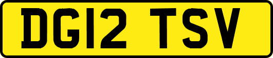 DG12TSV