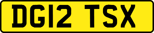 DG12TSX