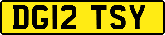 DG12TSY