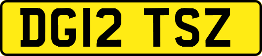 DG12TSZ
