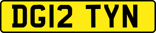 DG12TYN