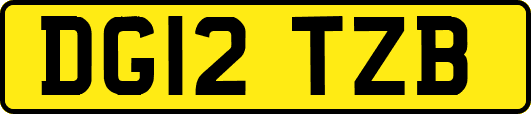 DG12TZB