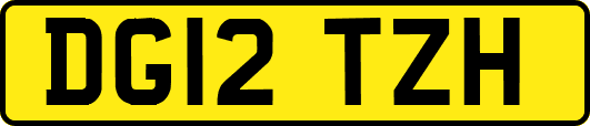 DG12TZH