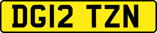 DG12TZN