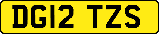 DG12TZS