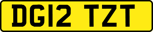 DG12TZT