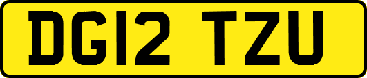 DG12TZU