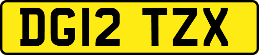 DG12TZX
