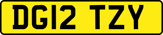 DG12TZY