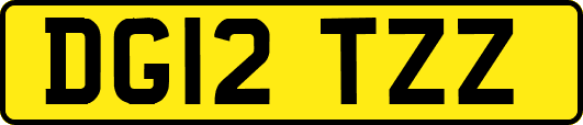 DG12TZZ
