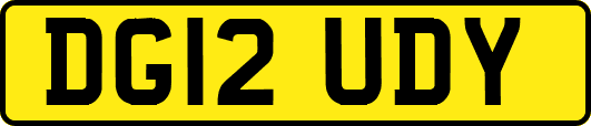 DG12UDY