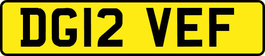 DG12VEF