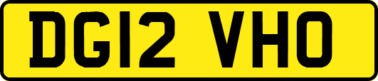 DG12VHO
