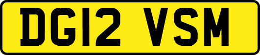 DG12VSM