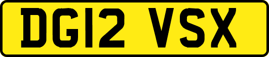 DG12VSX