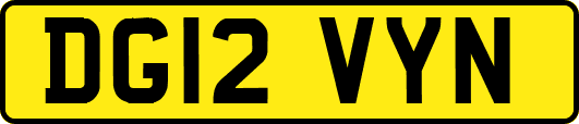 DG12VYN