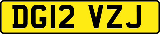 DG12VZJ