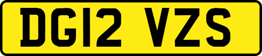 DG12VZS