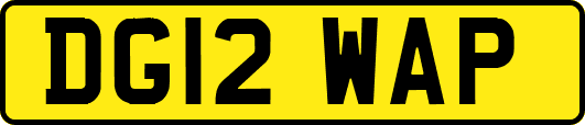 DG12WAP