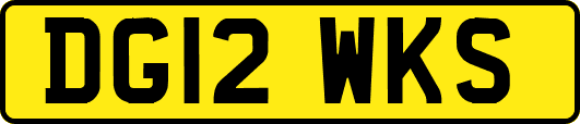 DG12WKS