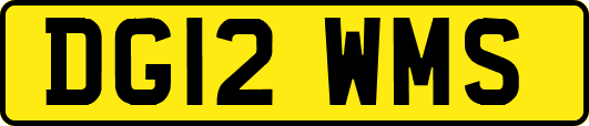 DG12WMS