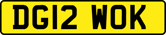 DG12WOK