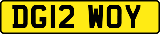 DG12WOY