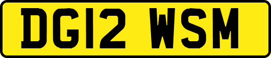 DG12WSM