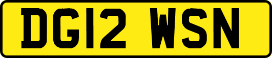 DG12WSN