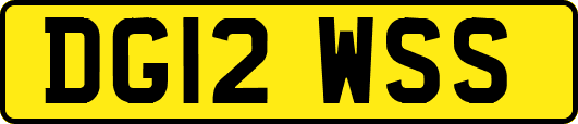DG12WSS