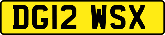 DG12WSX