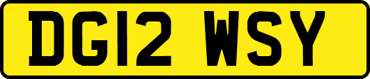 DG12WSY