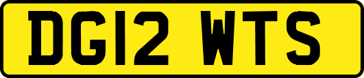 DG12WTS
